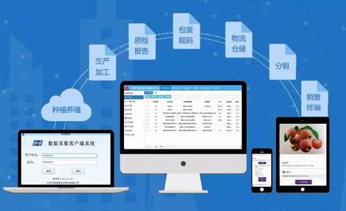 兆信股份 溯源為何離不開物聯(lián)網(wǎng)與物聯(lián)網(wǎng)技術(shù)服務